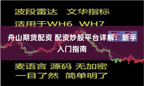 舟山期货配资 配资炒股平台详解：新手入门指南
