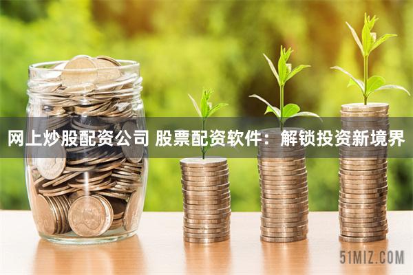 网上炒股配资公司 股票配资软件：解锁投资新境界